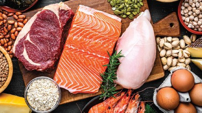 Importance of Protein