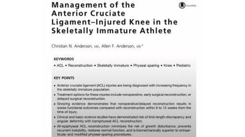 Management of the Anterior Cruciate Ligament Injured Knee in the Skeletally Immature Athlete