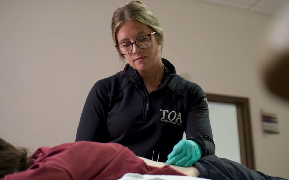TOA Physical Therapy Rachel Rebhan on Cupping and Dry Needling